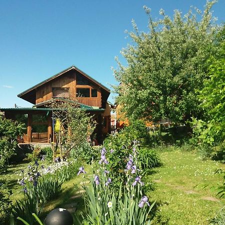 Casa Natalia Hotel Brasov Exterior photo