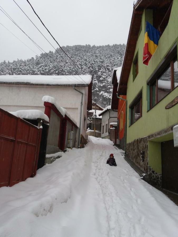 Casa Natalia Hotel Brasov Exterior photo