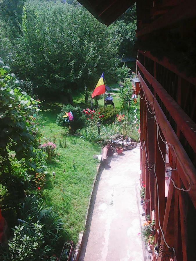 Casa Natalia Hotel Brasov Exterior photo