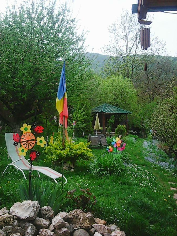 Casa Natalia Hotel Brasov Exterior photo