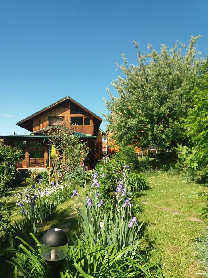 Casa Natalia Hotel Brasov Exterior photo